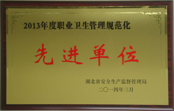 省安監(jiān)局獎牌.jpg